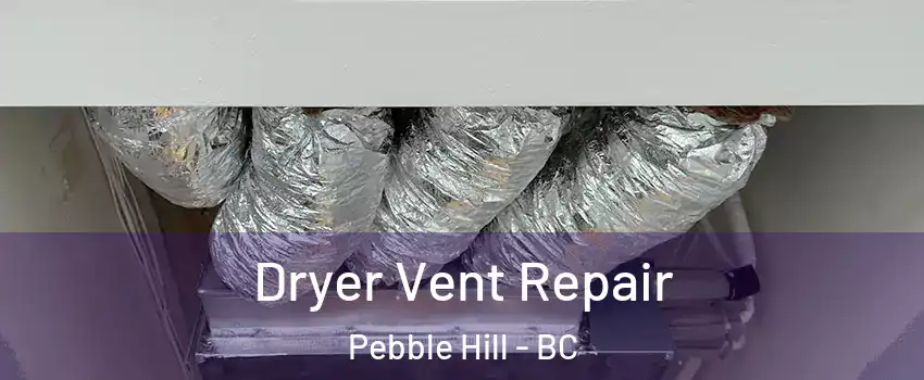 Dryer Vent Repair Pebble Hill - BC