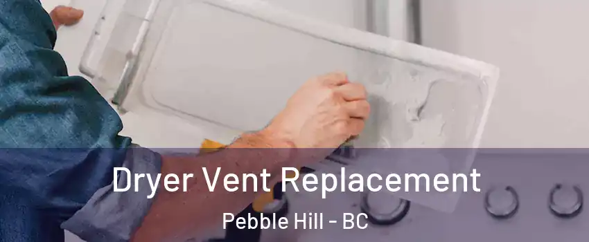 Dryer Vent Replacement Pebble Hill - BC
