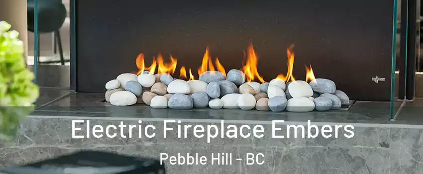 Electric Fireplace Embers Pebble Hill - BC
