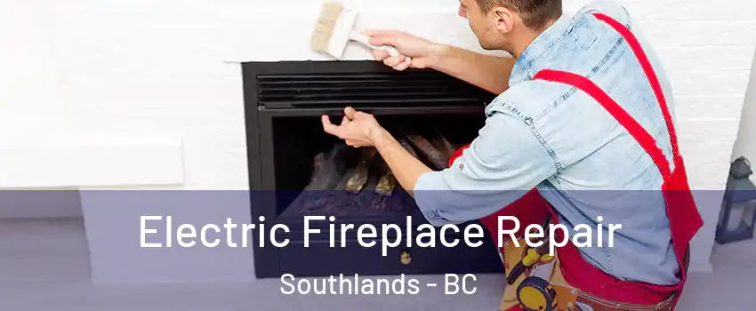 Electric Fireplace Repair Southlands - BC