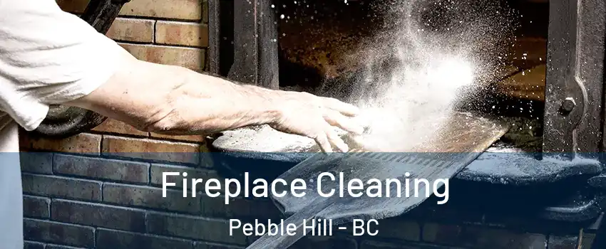  Fireplace Cleaning Pebble Hill - BC