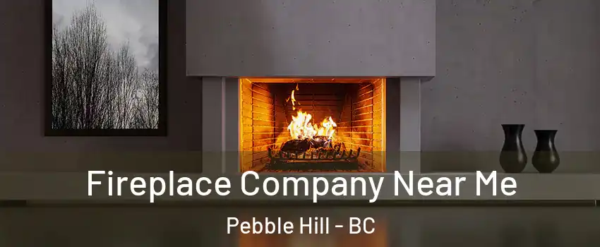 Fireplace Company Near Me Pebble Hill - BC