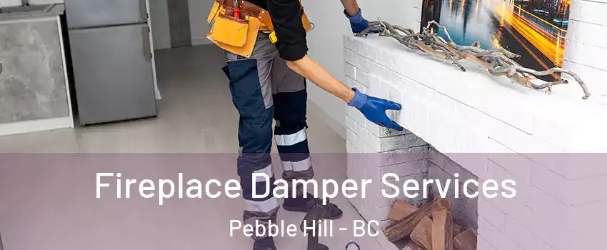 Fireplace Damper Services Pebble Hill - BC