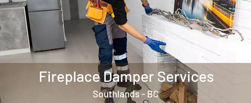 Fireplace Damper Services Southlands - BC