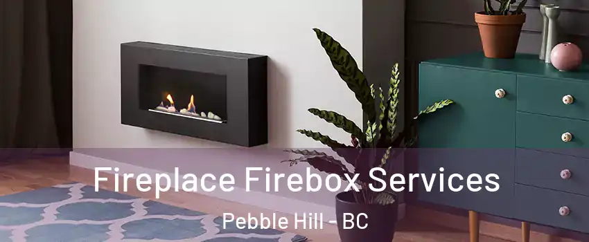 Fireplace Firebox Services Pebble Hill - BC