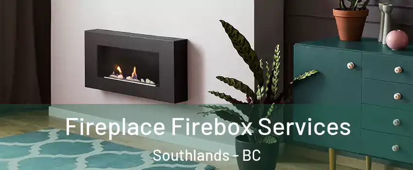 Fireplace Firebox Services Southlands - BC