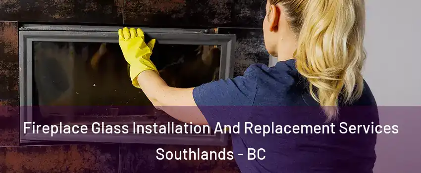  Fireplace Glass Installation And Replacement Services Southlands - BC