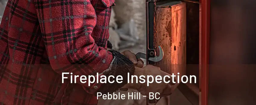 Fireplace Inspection Pebble Hill - BC