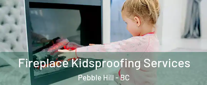 Fireplace Kidsproofing Services Pebble Hill - BC
