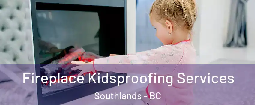 Fireplace Kidsproofing Services Southlands - BC