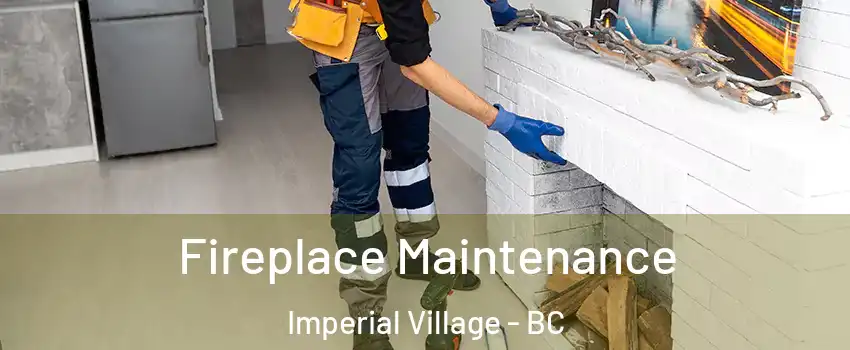 Fireplace Maintenance Imperial Village - BC