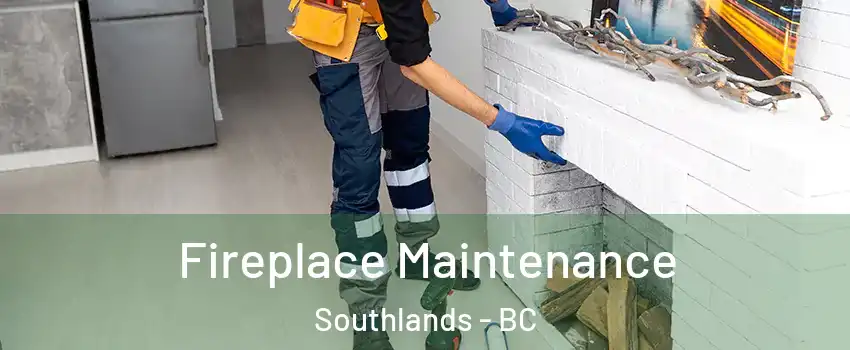 Fireplace Maintenance Southlands - BC
