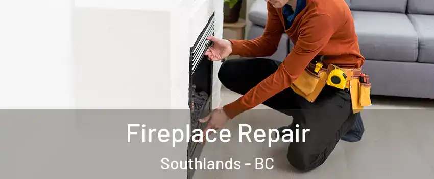 Fireplace Repair Southlands - BC