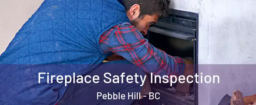 Fireplace Safety Inspection Pebble Hill - BC