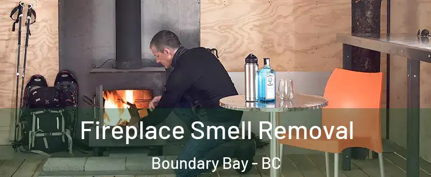 Fireplace Smell Removal Boundary Bay - BC