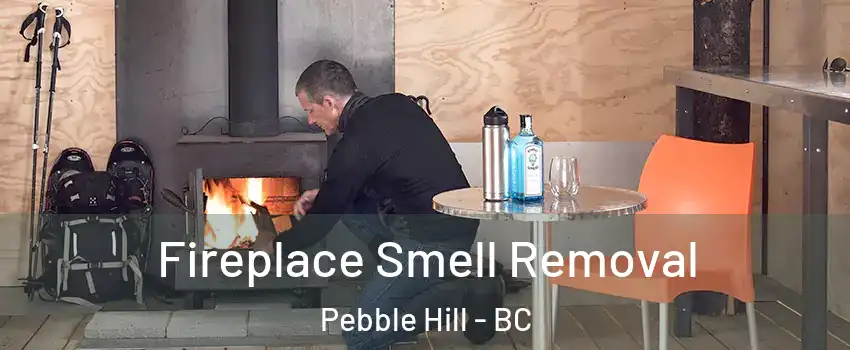 Fireplace Smell Removal Pebble Hill - BC