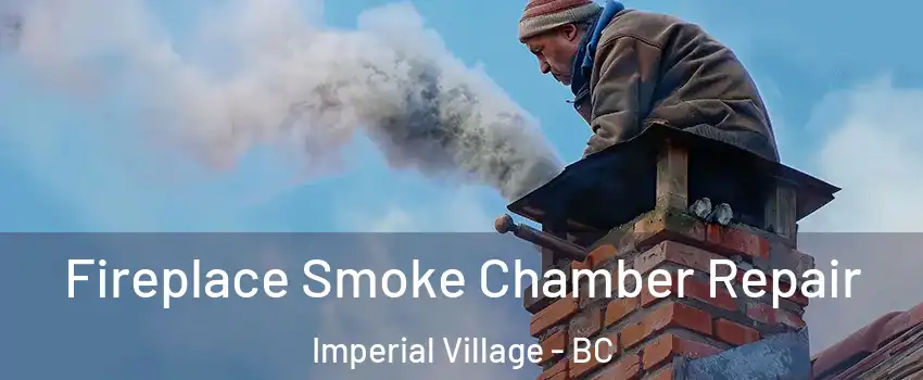  Fireplace Smoke Chamber Repair Imperial Village - BC