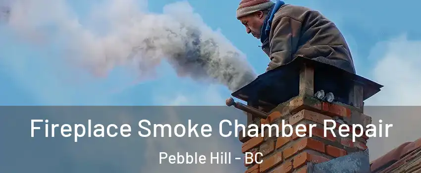  Fireplace Smoke Chamber Repair Pebble Hill - BC