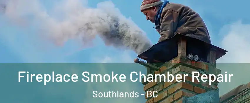 Fireplace Smoke Chamber Repair Southlands - BC