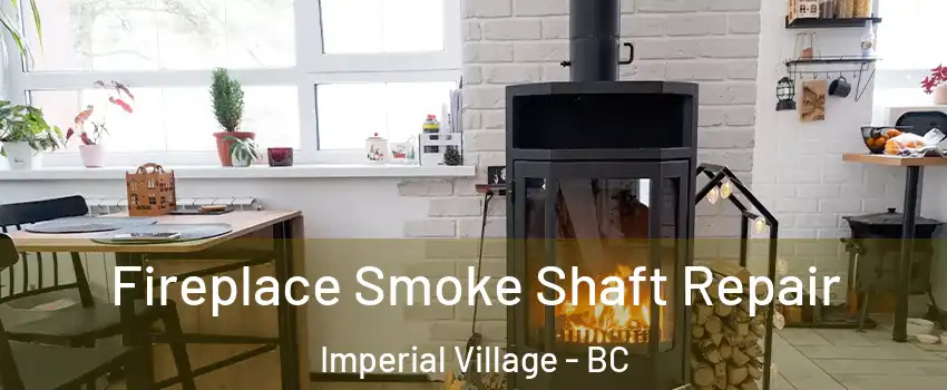  Fireplace Smoke Shaft Repair Imperial Village - BC