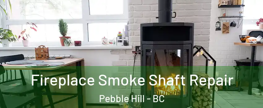 Fireplace Smoke Shaft Repair Pebble Hill - BC