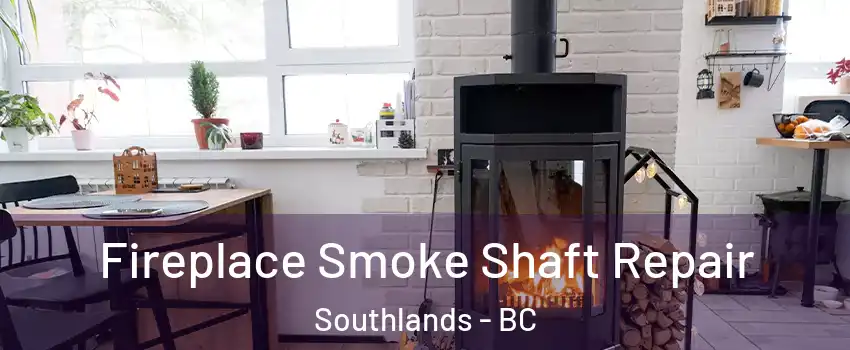Fireplace Smoke Shaft Repair Southlands - BC