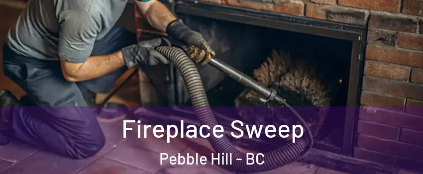 Fireplace Sweep Pebble Hill - BC