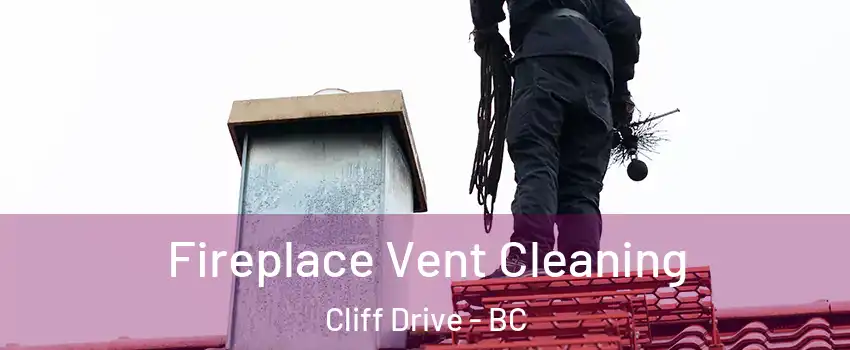 Fireplace Vent Cleaning Cliff Drive - BC