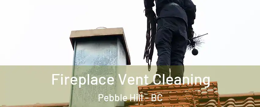 Fireplace Vent Cleaning Pebble Hill - BC