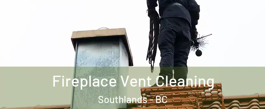 Fireplace Vent Cleaning Southlands - BC