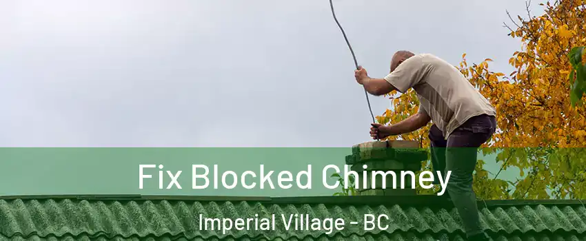 Fix Blocked Chimney Imperial Village - BC