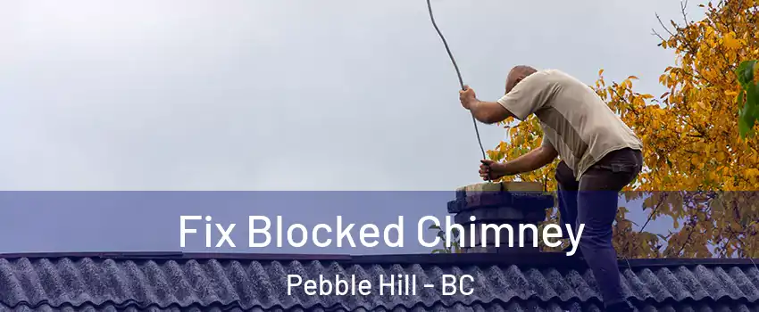 Fix Blocked Chimney Pebble Hill - BC