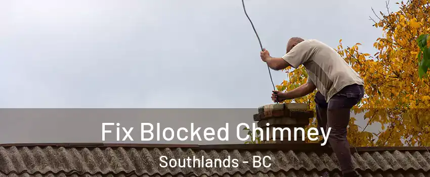 Fix Blocked Chimney Southlands - BC
