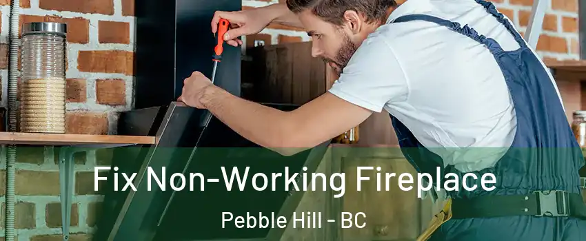 Fix Non-Working Fireplace Pebble Hill - BC