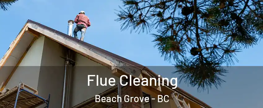 Flue Cleaning Beach Grove - BC