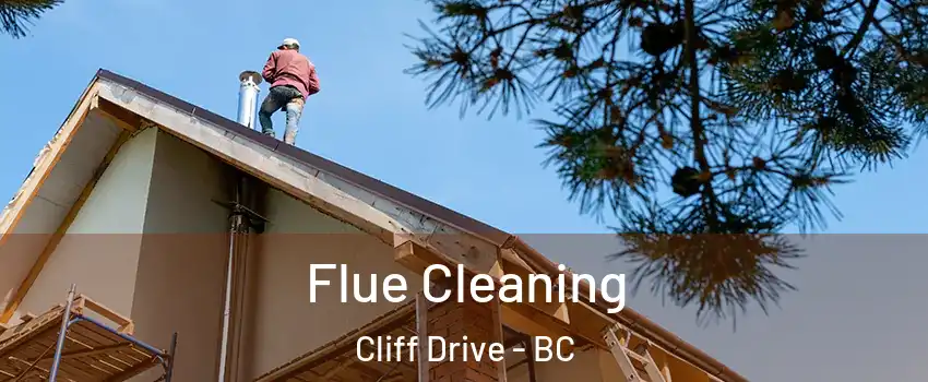 Flue Cleaning Cliff Drive - BC