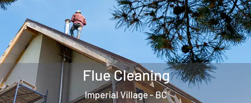 Flue Cleaning Imperial Village - BC