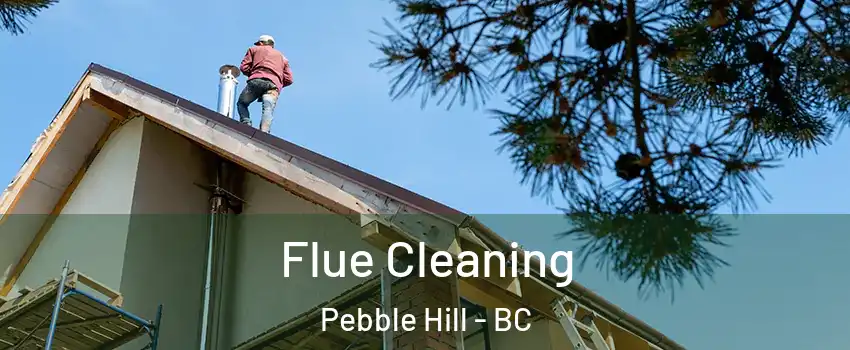 Flue Cleaning Pebble Hill - BC