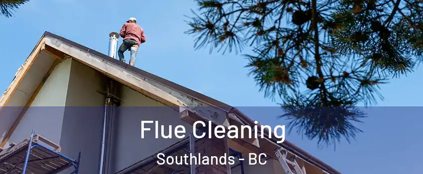 Flue Cleaning Southlands - BC