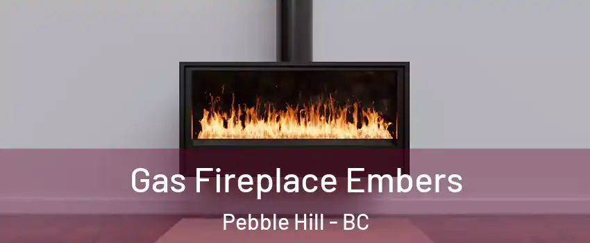 Gas Fireplace Embers Pebble Hill - BC