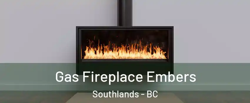 Gas Fireplace Embers Southlands - BC
