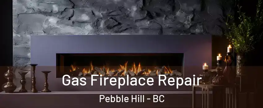 Gas Fireplace Repair Pebble Hill - BC