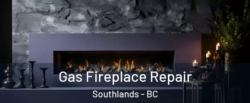 Gas Fireplace Repair Southlands - BC