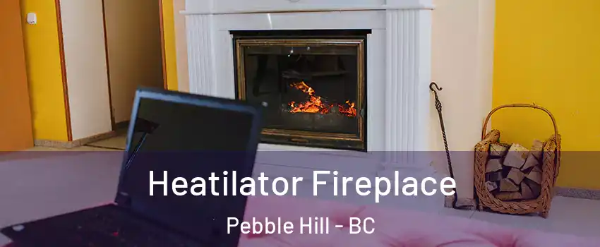 Heatilator Fireplace Pebble Hill - BC