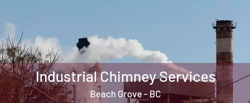 Industrial Chimney Services Beach Grove - BC