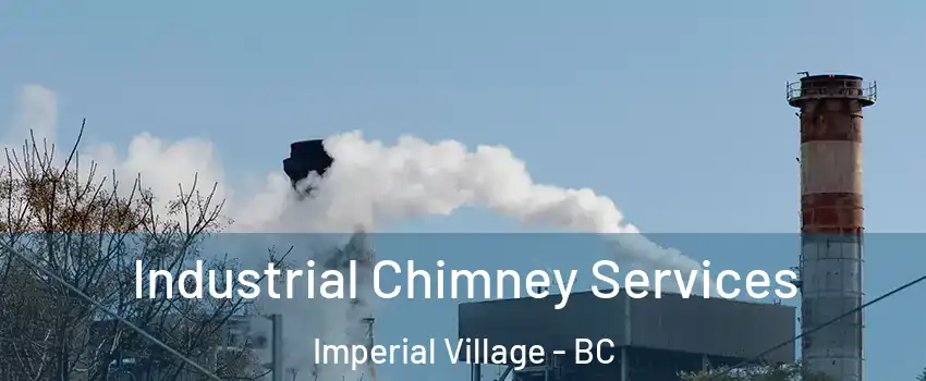  Industrial Chimney Services Imperial Village - BC