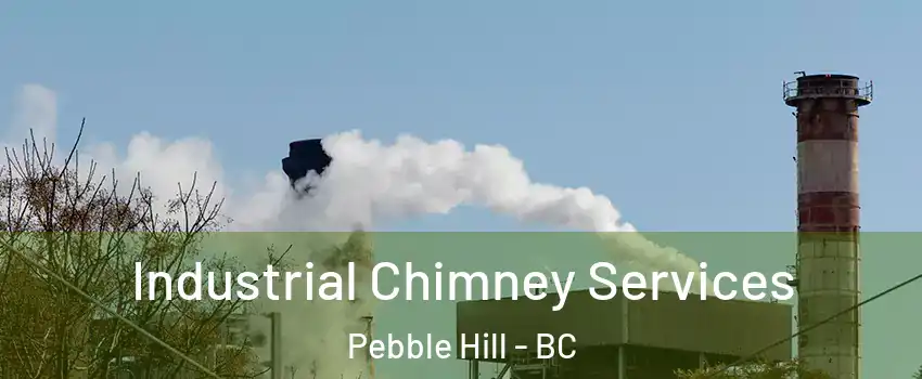 Industrial Chimney Services Pebble Hill - BC
