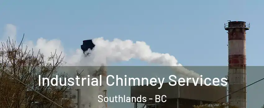 Industrial Chimney Services Southlands - BC