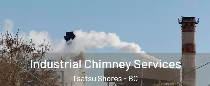 Industrial Chimney Services Tsatsu Shores - BC