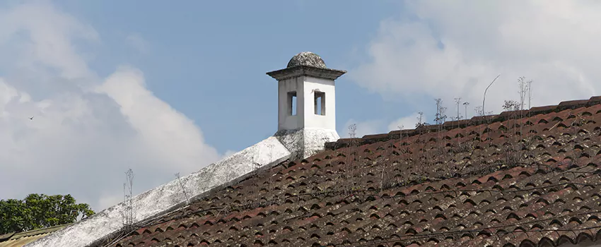 Wind-Resistant Chimney Caps Installation and Repair Services in Tsawwassen, British Columbia